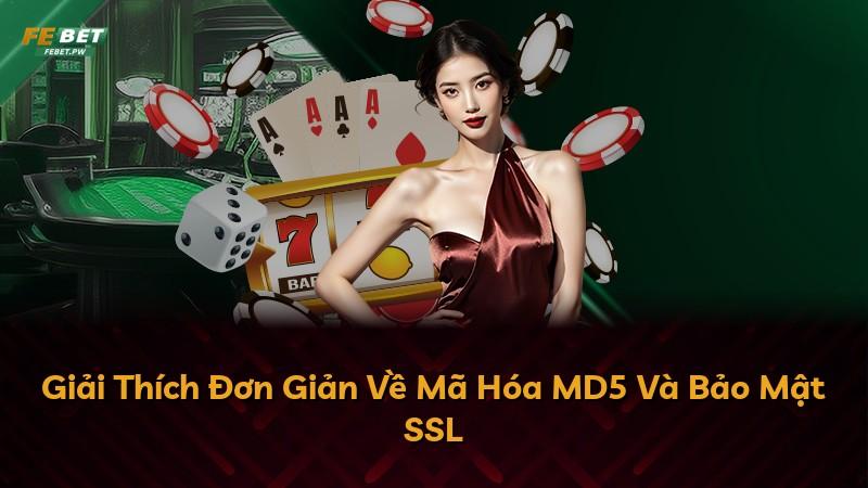 Giải Thích Đơn Giản Về Mã Hóa MD5 Và Bảo Mật SSL