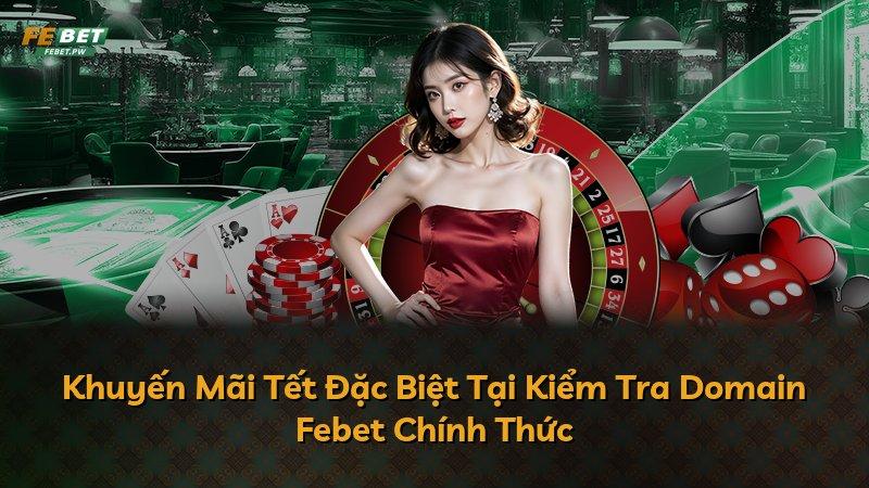Khuyến Mãi Tết Đặc Biệt Tại Kiểm Tra Domain Febet Chính Thức