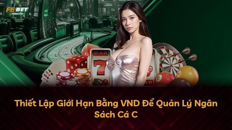 Thiết Lập Giới Hạn Bằng VND Để Quản Lý Ngân Sách Cá C