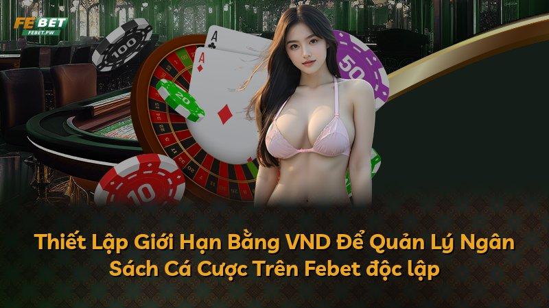 Thiết Lập Giới Hạn Bằng VND Để Quản Lý Ngân Sách Cá Cược Trên Febet độc lập